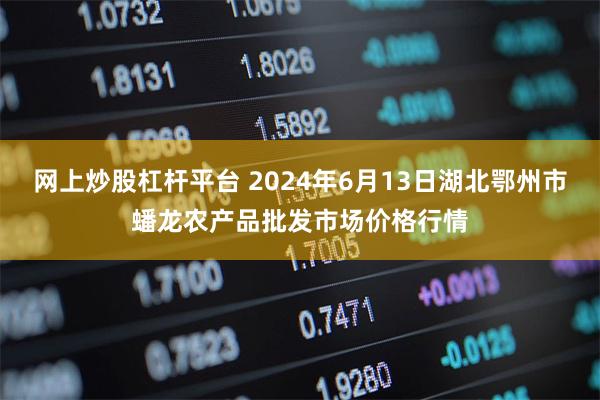 网上炒股杠杆平台 2024年6月13日湖北鄂州市蟠龙农产品批发市场价格行情