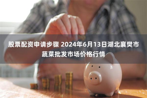 股票配资申请步骤 2024年6月13日湖北襄樊市蔬菜批发市场价格行情